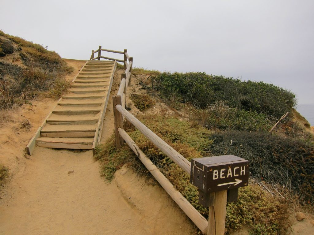 Torrey Pines State Reserve