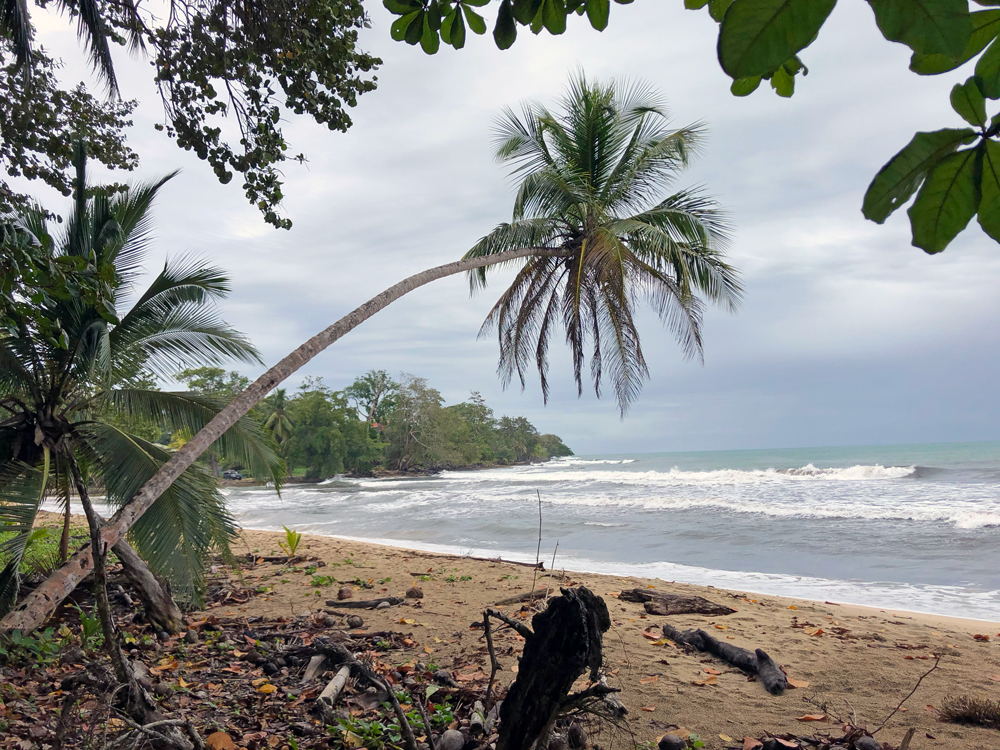 Cahuita National Park