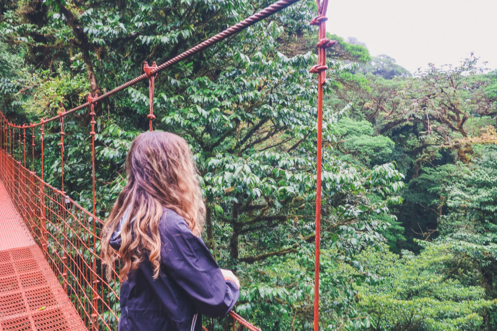 In Arenal, hanging bridges park