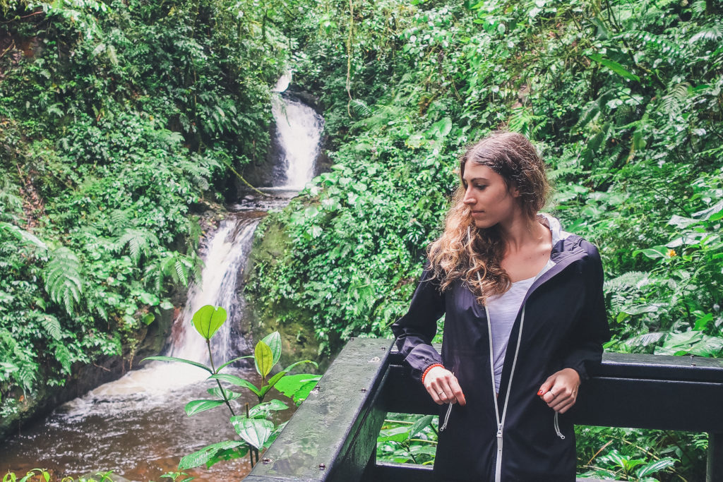 hanging out in the Monteverde Cloud Forest