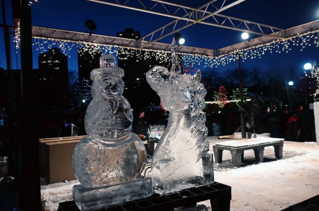 zoo lights in Chicago