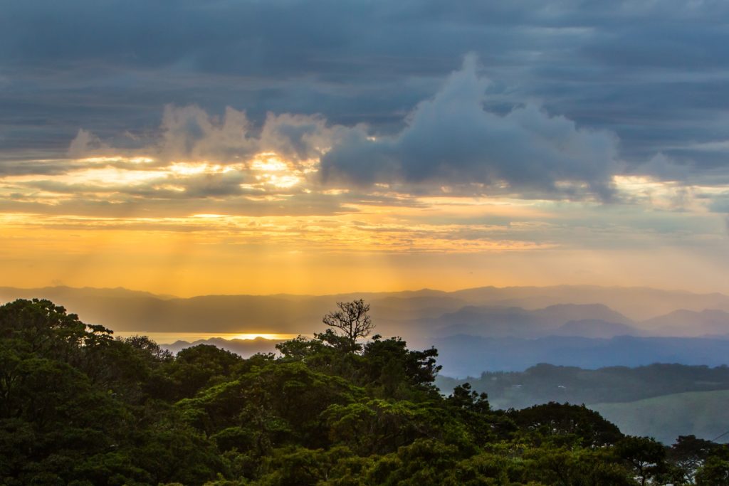 Monteverde Cloud Forest