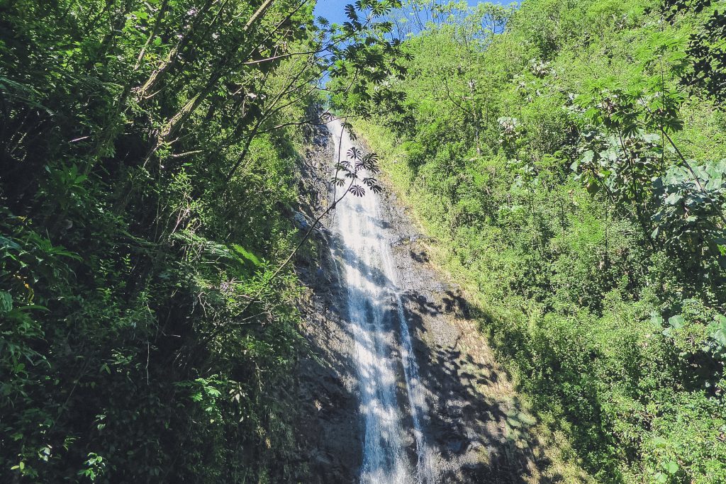 Manoa Falls