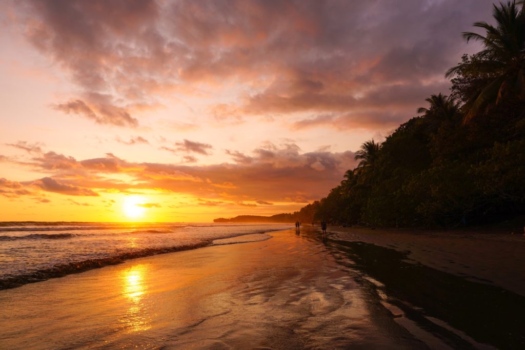 Marino Ballena National Park