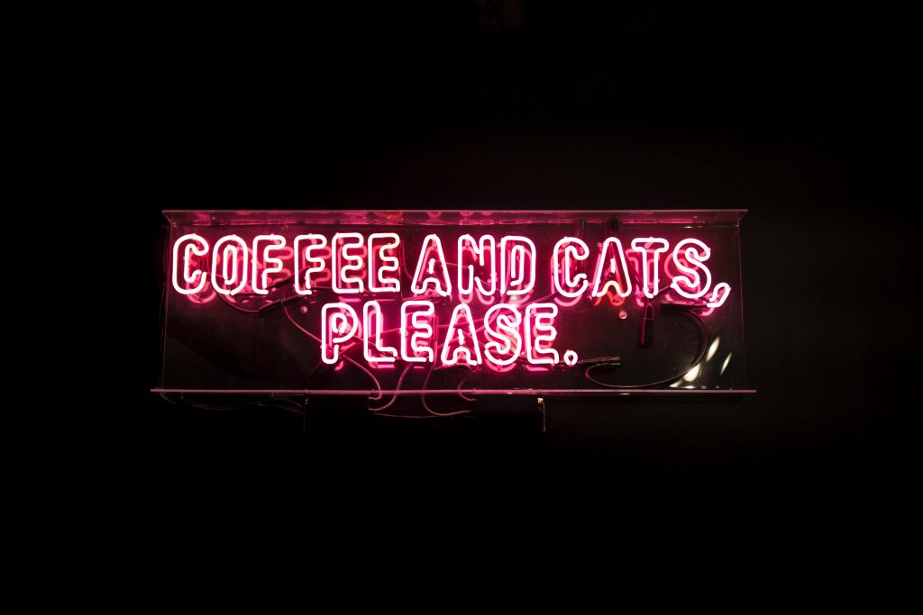 "coffee and cats please" in neon