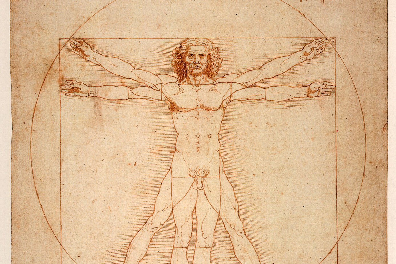 Leonardo da Vinci's drawing of the Vitruvian Man