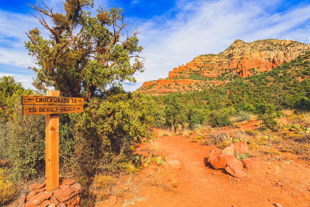 The natural beauty of the Arizona desert with majestic sandstone buttes.