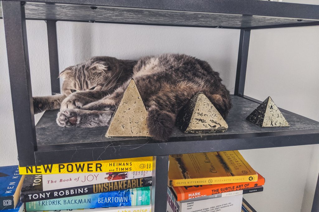 cat cuddles up next to 3 pyrite pyramids