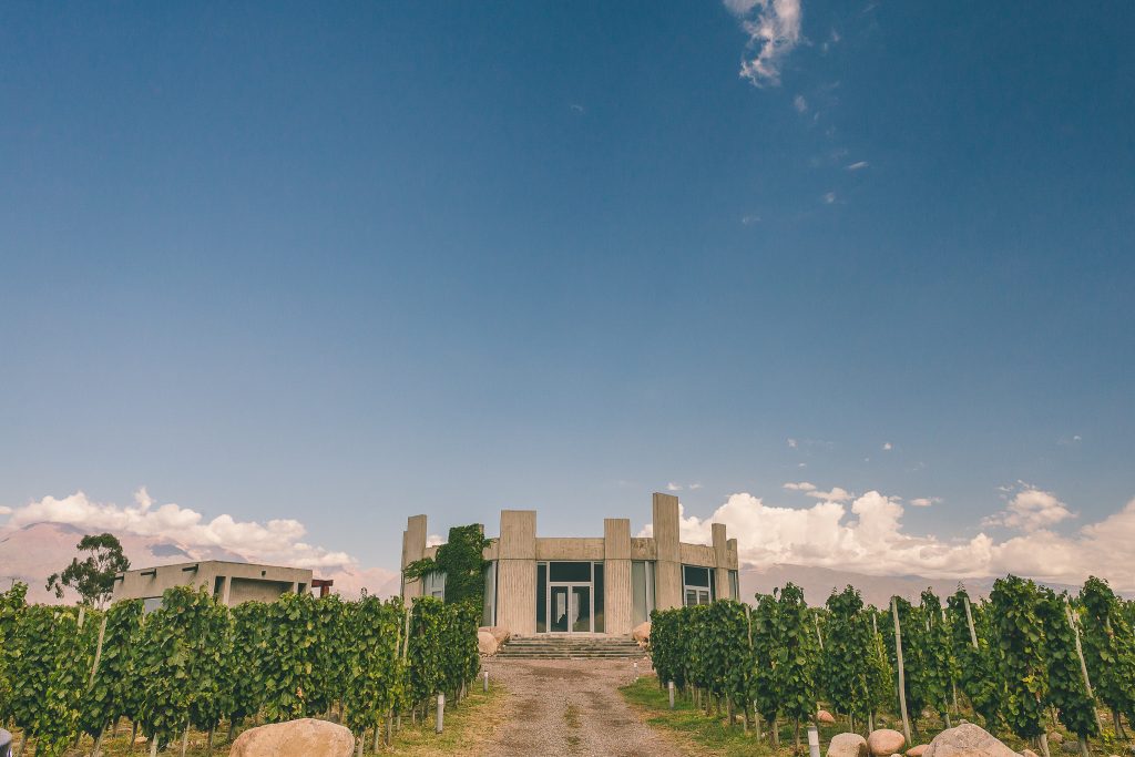 SuperUco Winery and Landscape