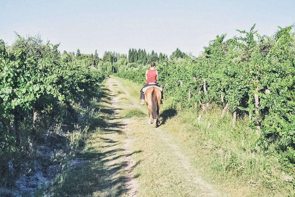 horseback riding atDoña Juanita, Mendoza