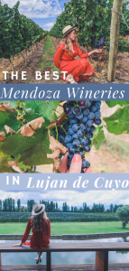 Lujan de Cuyo Wineries pin