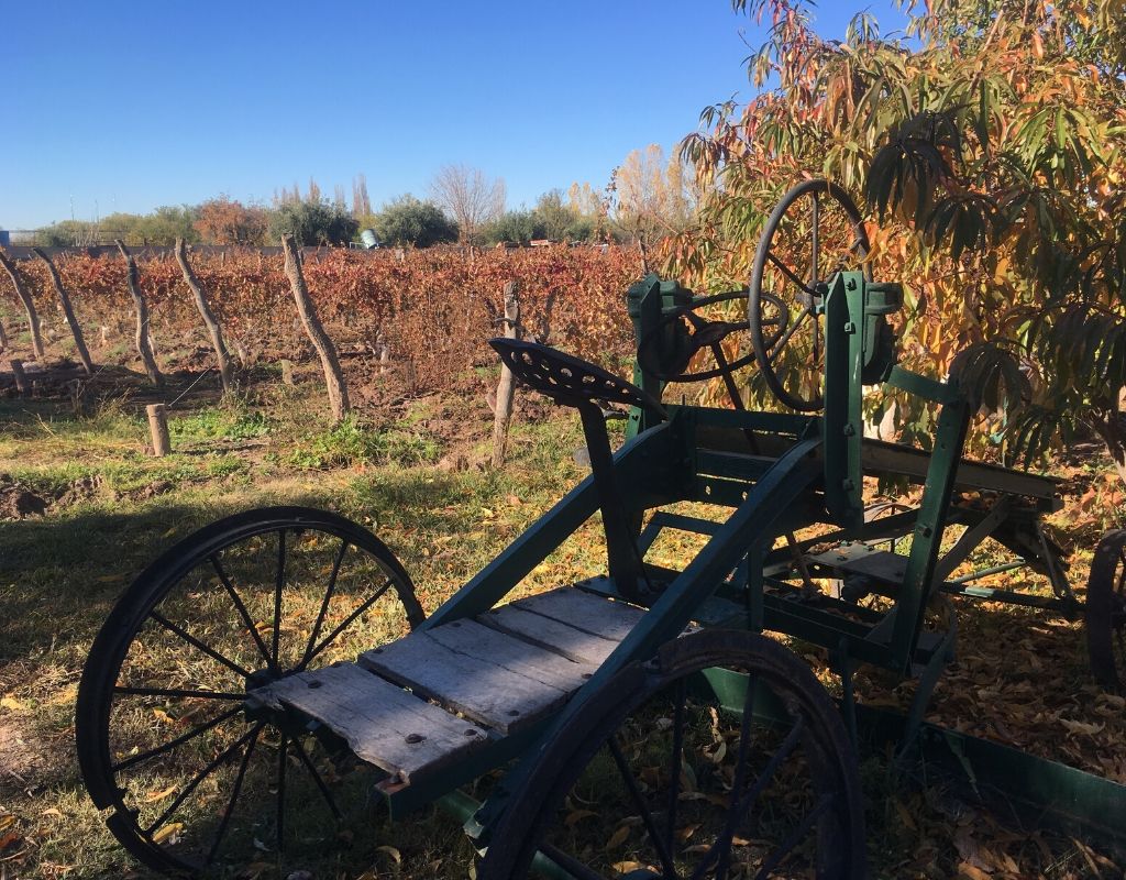 Cecchin Family Winery