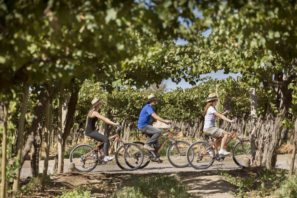 Agostino Winery, bike tour