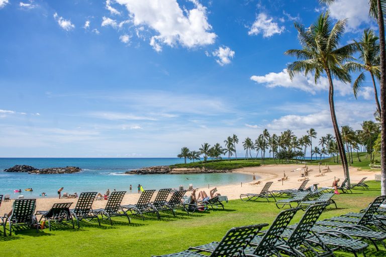 Best Places to Stay in Oahu: Your Guide to the Top Hotels in Oahu ...