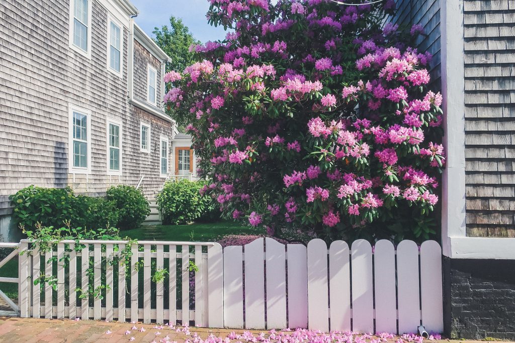 flowers in Nantucket, pretty landscaping