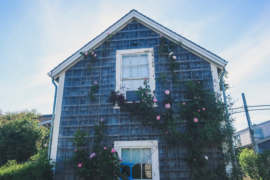 Nantucket cottage with roses