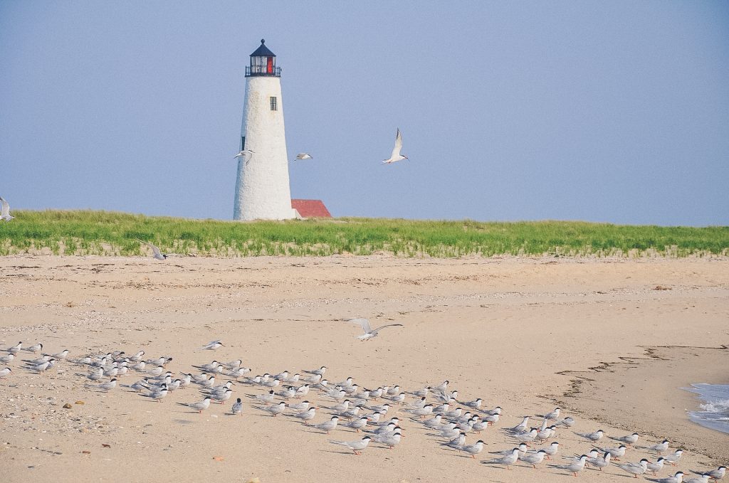 Great Point Lighthouse in Nantucket