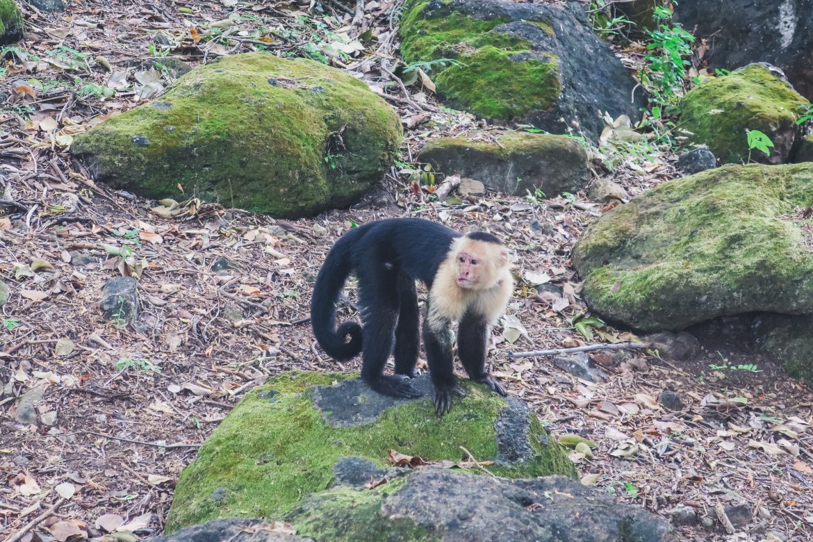 13 Impressive Items to Elevate Your Vacation Look What to Wear in