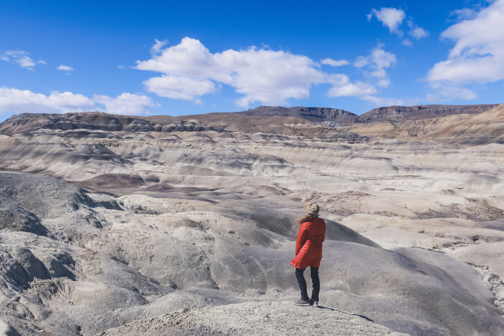 views of La Leona Petrified Forest 