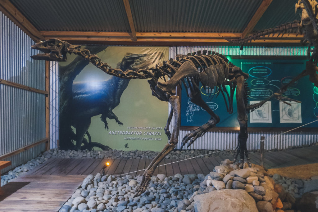 dinosaur skeleton in El Calafate's history museum 