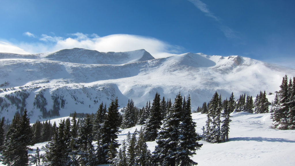 Breck in winter