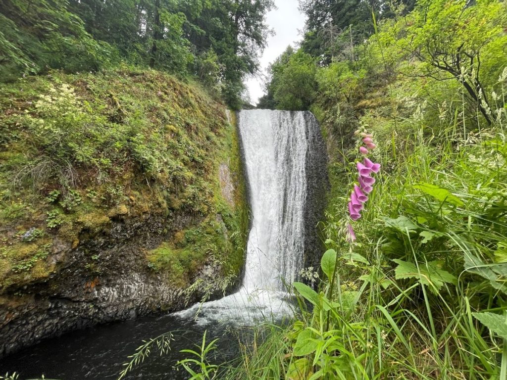 Waterfall in the Columbia river gorge