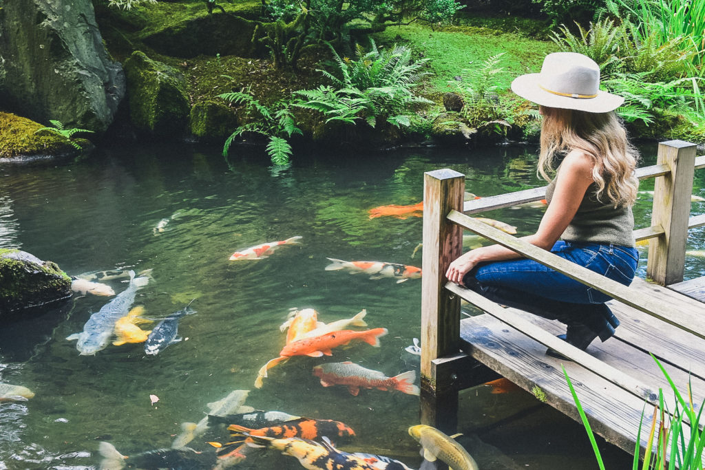 Portland's Japanese Garden, koi pond