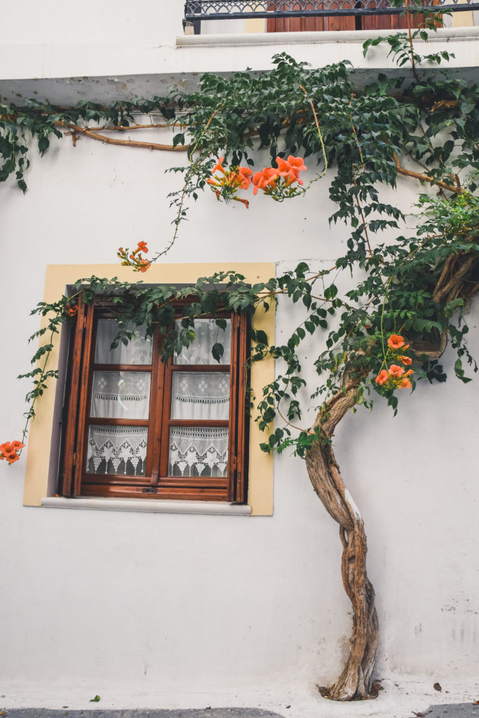 walking around Naxos City