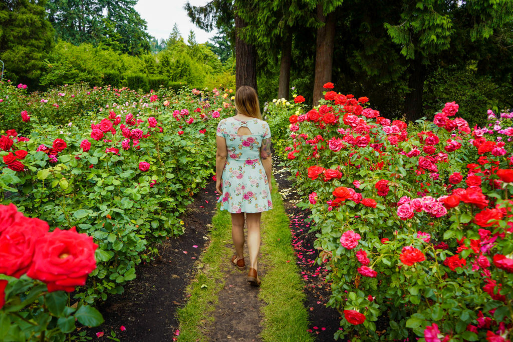 woman walks through International Rose Test Garden